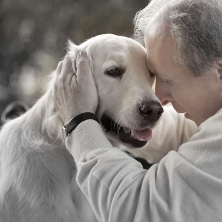 Ein älterer Mann umarmt einen freundlichen Golden Retriever.